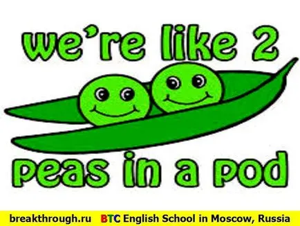 201 în limba engleză ca două mazăre proverb rusesc expresie idiom comparație argotic proverbul ca