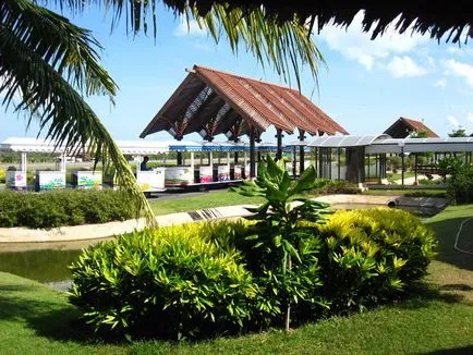 Samui Airport (Thaiföld) fotók, név, kijelző, kód