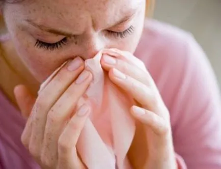 Алергия към амброзия симптоми и лечение през август, по-добре е да вземете със сезонните алергии