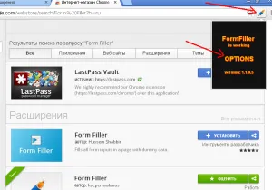 Auto forme complete în Google Renie - formular de umplere