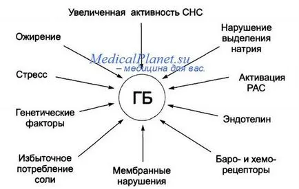 СЗО класификация на хипертония - сърцето лечение