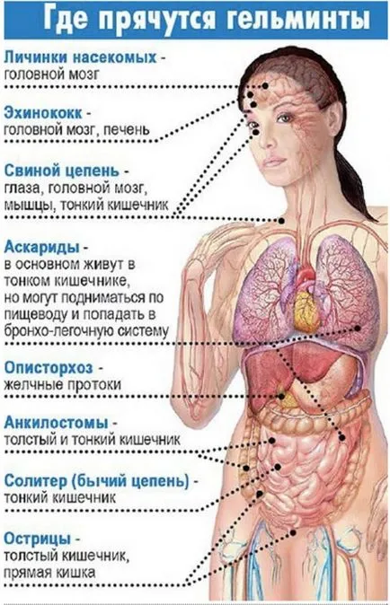 Антипаразитни прочистване - личен опит