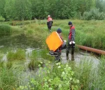 Безконтактни магнетометричното диагностика - 