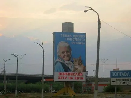 Bunica a rescris apartamentul pe pisica pentru a afla că nepotul Regiunilor (foto) - Top News Ucraina