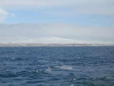 marea Bering