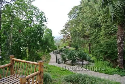 Botanikus kert Batumi - élőben utazás