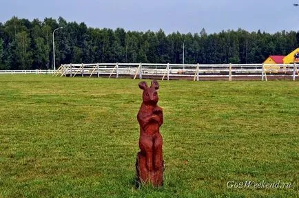 centru de eco-turism 