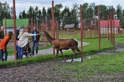 centru de eco-turism 