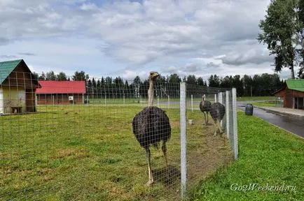 centru de eco-turism 