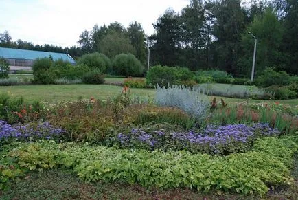 Central Siberian Gradina Botanica, RAS SB in Novosibirsk Akademgorodok