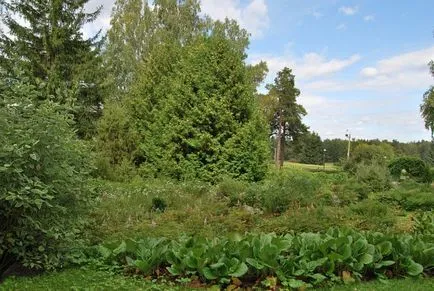 Central Siberian Gradina Botanica, RAS SB in Novosibirsk Akademgorodok