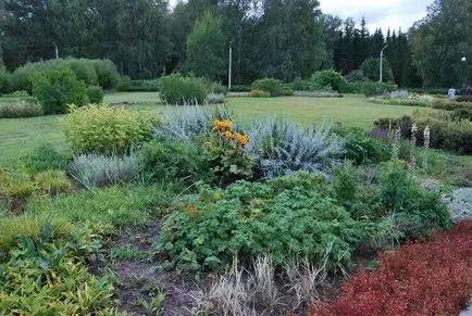 Central Siberian Gradina Botanica, RAS SB in Novosibirsk Akademgorodok