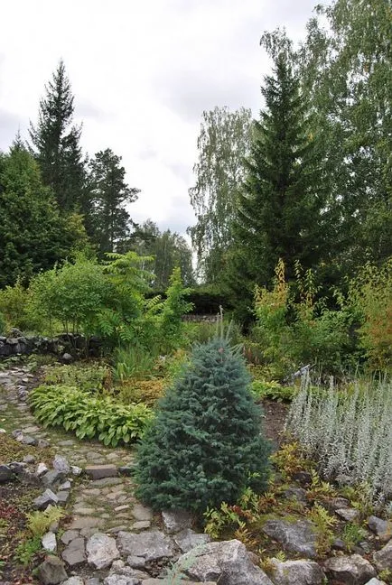 Central Siberian Gradina Botanica, RAS SB in Novosibirsk Akademgorodok