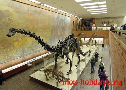 Őslénytani Múzeum Moszkva (Dinosaur Museum) árak, nyitvatartási idő, hogyan lehet eljutni a múzeum