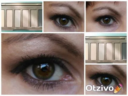 Elemente de bază reticulatie naked2 (pas cu pas make-up fotografie) comentarii