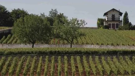 Côtes du Rhône falvak dom hugues - Cotes Dyu Ron vilyazh ház Hugo, Rhone-völgy vásárolni bort szállítás