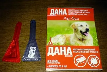 Dana kullancsok kutya felhasználó alapok felhasználása