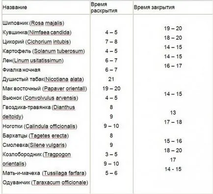 История на цветя часовник, методи за използване и създаване на