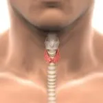 Дифузни симптоми гуша с щитовидната жлеза и признаци на заболяването