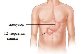 Duodenum és annak szerkezetét, fekély tünetek és a kezelés