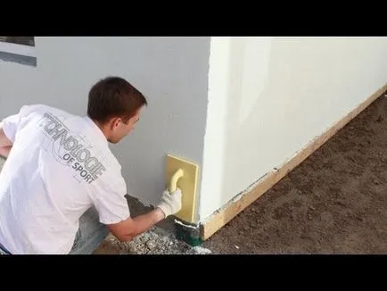 cerere de fațadă ipsos woodworm tehnologie, colorare, pret (foto și video)