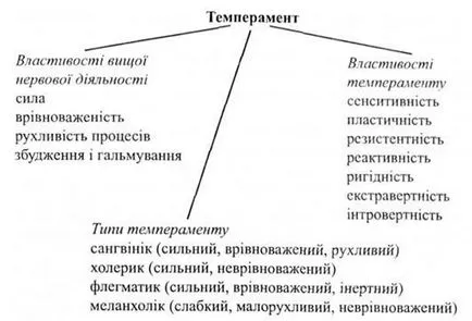 Bazele fiziologice de temperament, temperamentul influența activităților umane, întrebări pentru