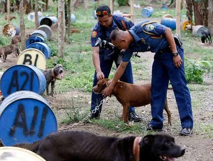 Poliția din diferite țări, si vis pacem!