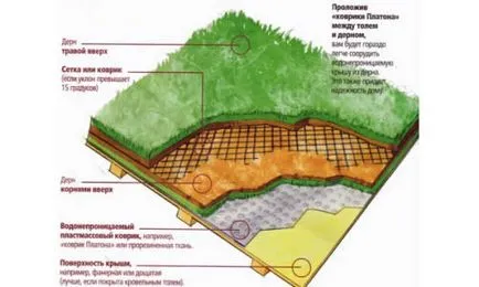 Lawn, hogy nem kell kaszálni a saját kezét