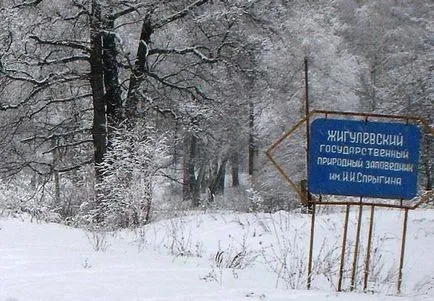 Планински Strelna, Жигули резерв (снимка)