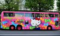 Hello Kitty - történet fehér macska