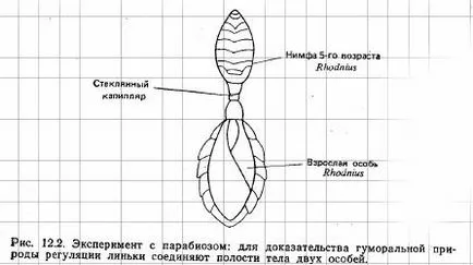 hormoni de insecte (partea 2) - toate veterinarul