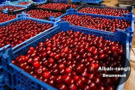 Beszélünk anyanyelvükön színek azerbajdzsáni nyelvoktatás, Magyarország valamennyi