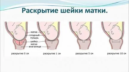 Особено раждали бременност и раждане