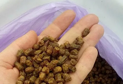 Пчелен прашец полезни свойства, как да се вземат за лечение и превенция