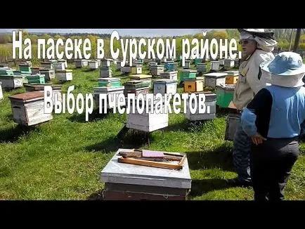 Bee пакети в пчелина