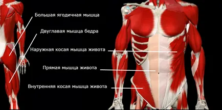 Как да се определи прекомерното огъване в кръста