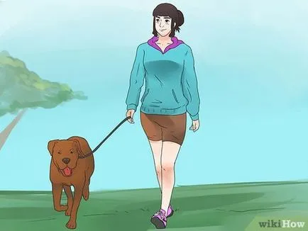 Как да се обучават кучета за сигурност