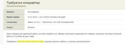 Как да се направи оценка на професионален копирайтър - Правете пари