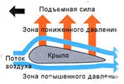 Как да преодолеете страха от летене - най-добрият съвет!