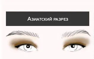 Как да се прилага сенки за очи по - стъпка по стъпка (снимка)