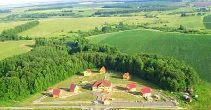 Scape din oraș mare de ce oamenii de succes trăiesc în pădure