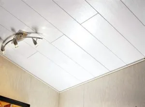 Cum de a elimina vopsea latex din tavan cu pas cu pas mâinile sale video și instrucțiuni foto