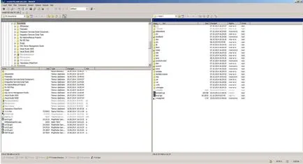 Cum de a copia un fișier ESXi 5