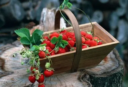 Как да се готви компот от ягоди през зимата рецепти и правила