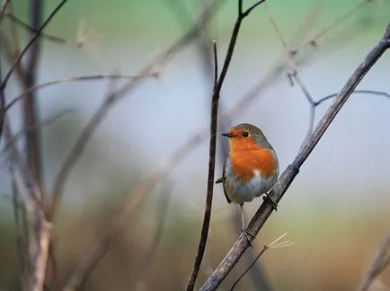 Как да вижда светът ни фотограф със синдрома на Даун