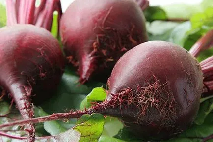 Hogyan kell tárolni a céklát minden téli körülmények között, lakás vagy a pincében