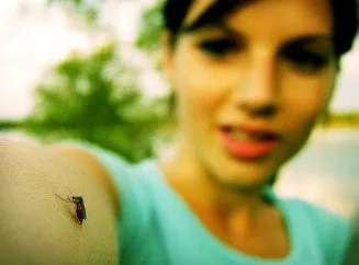 Hogyan védekezhet a szúnyogok a terhesség alatt