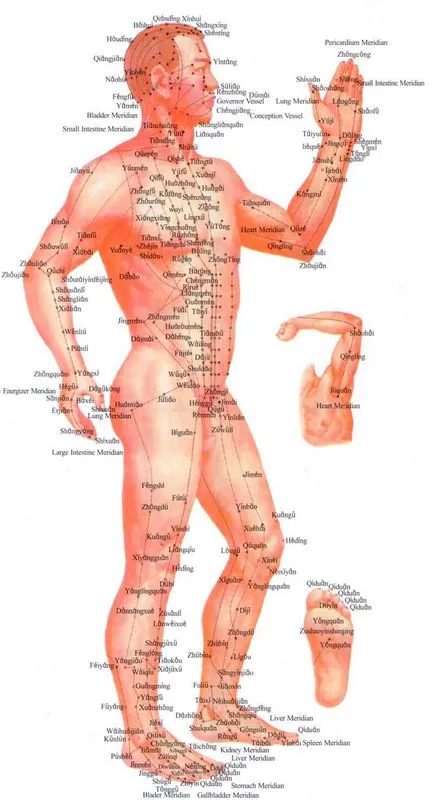 Като жизнената енергия се движи в човешкото тяло