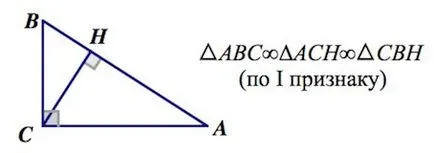 подобни триъгълници