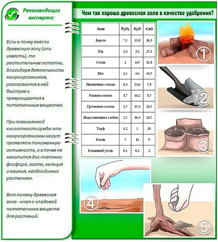 Fertilizarea cenușă de tomate